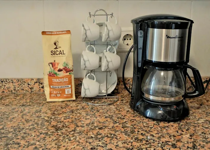 Mg Hollidays 公寓 丰沙尔